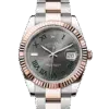 Rolex Datejust 41 126331