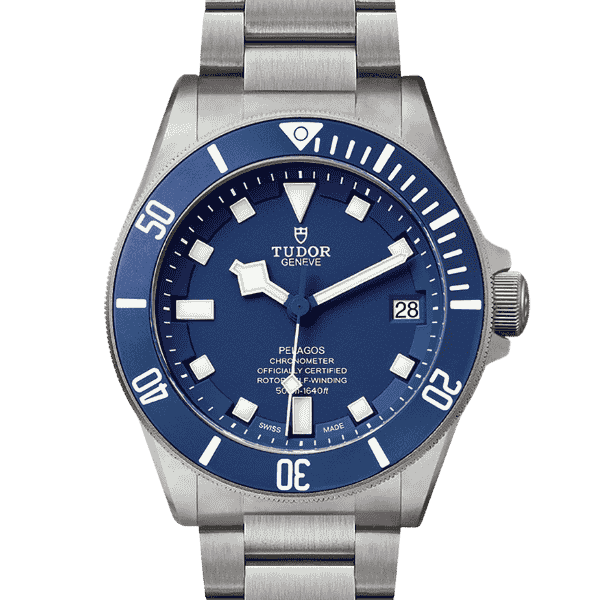 Tudor Pelagos M25600TB